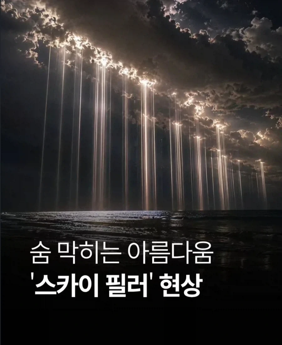 스카이 필러 현상_1.webp