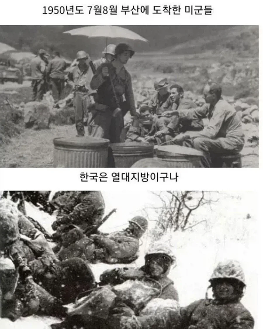 ???:한국은 열대지방이구나_1.webp