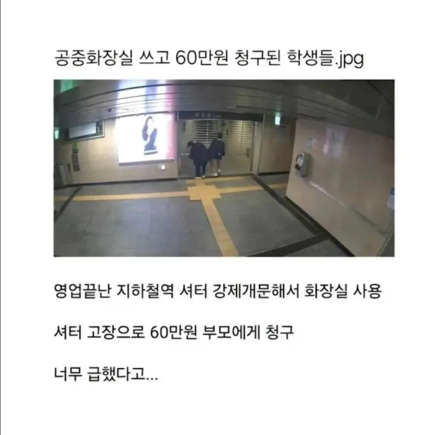 60만 원짜리 인권 비용ㅋㅋㅋ_1.webp