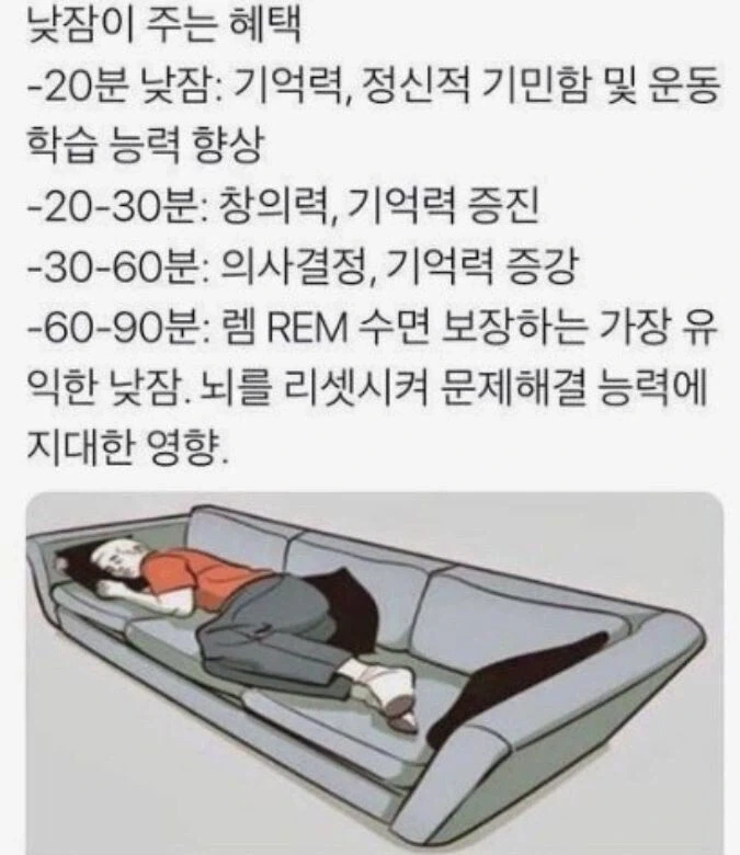 낮잠이 주는 혜택.jpg_1.webp