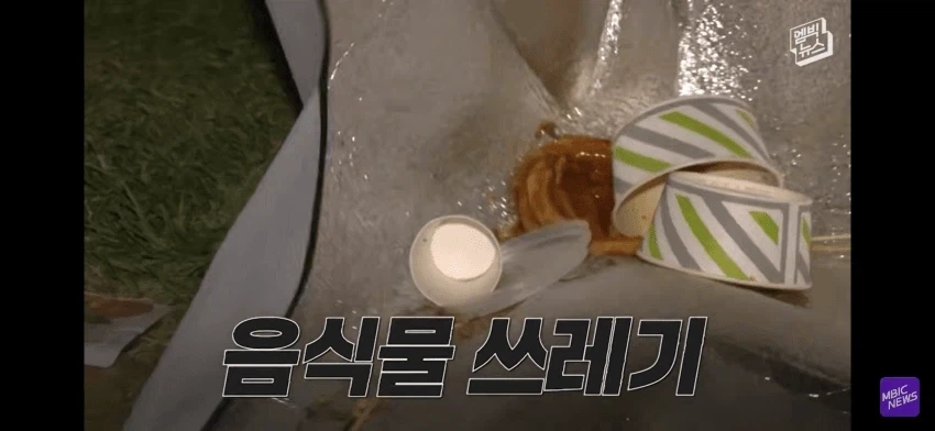 불꽃축제 일뽕 아줌마 ㄷㄷㄷㄷㄷ_4.webp
