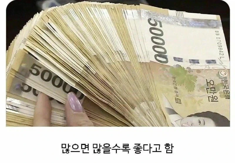 삶의 질이 달라지는 아이템_1.webp