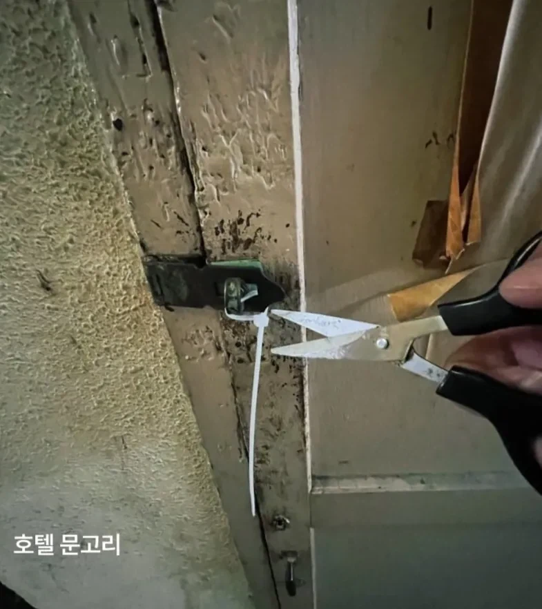 일본 숙박비 만원 호텔 레전드 ㄷㄷㄷ_6.webp