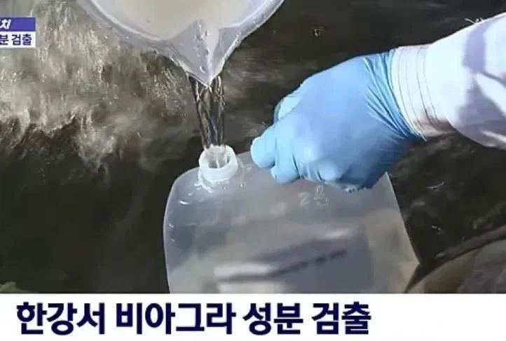 한강서 비아그라 성분 검출_1.webp
