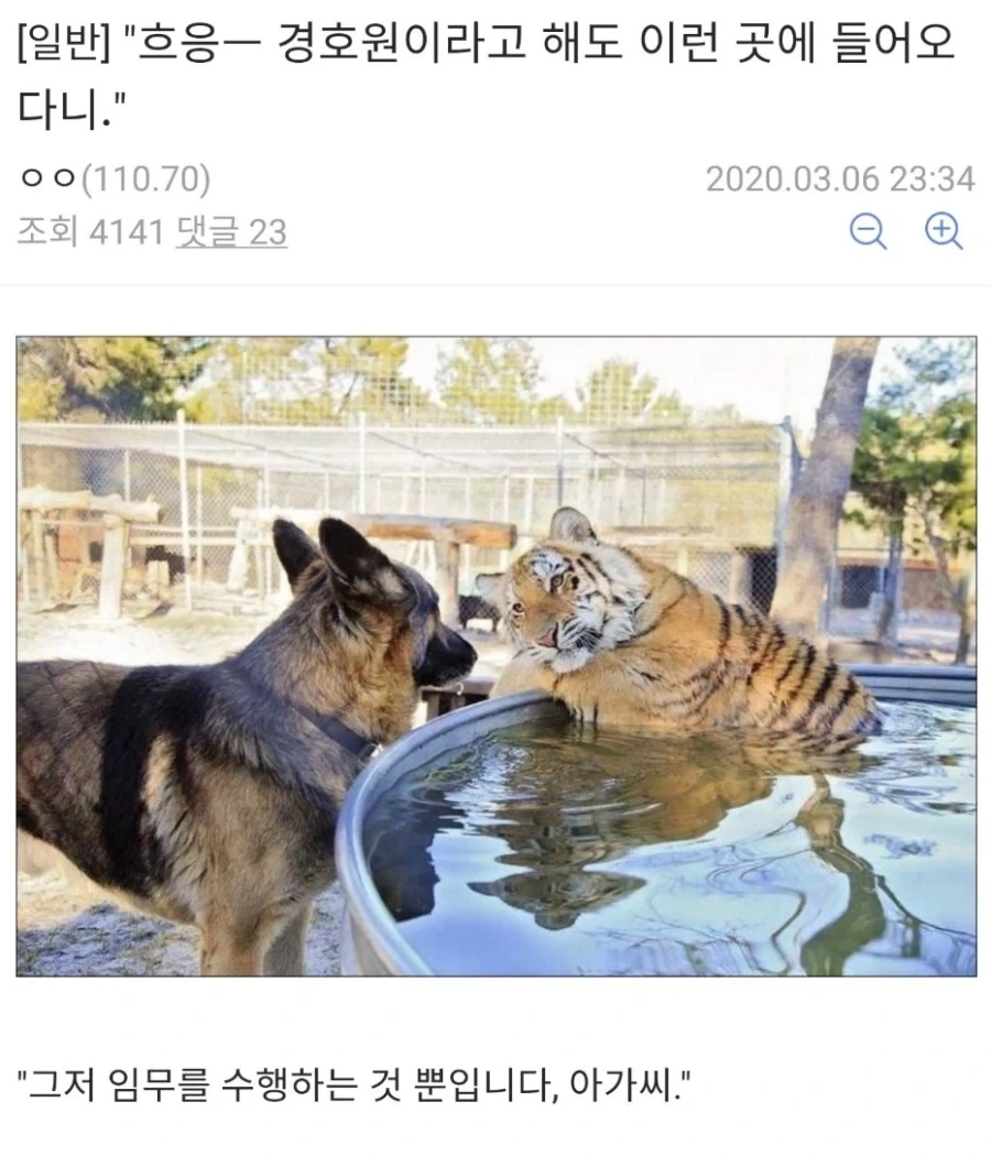 흐응-경호원이라고 해도 이런 곳에 들어오다니.jpg_1.webp