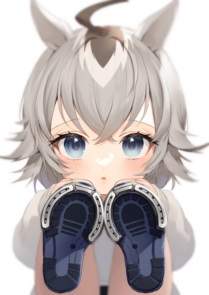manga_2727526_001.webp