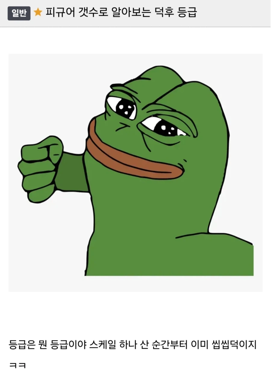 피규어 갯수로 알아보는 덕후 등급표_1.webp