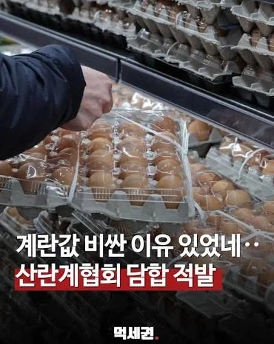 시장에 값싼 계란이 풀리자 유통업자들 반응_5.webp