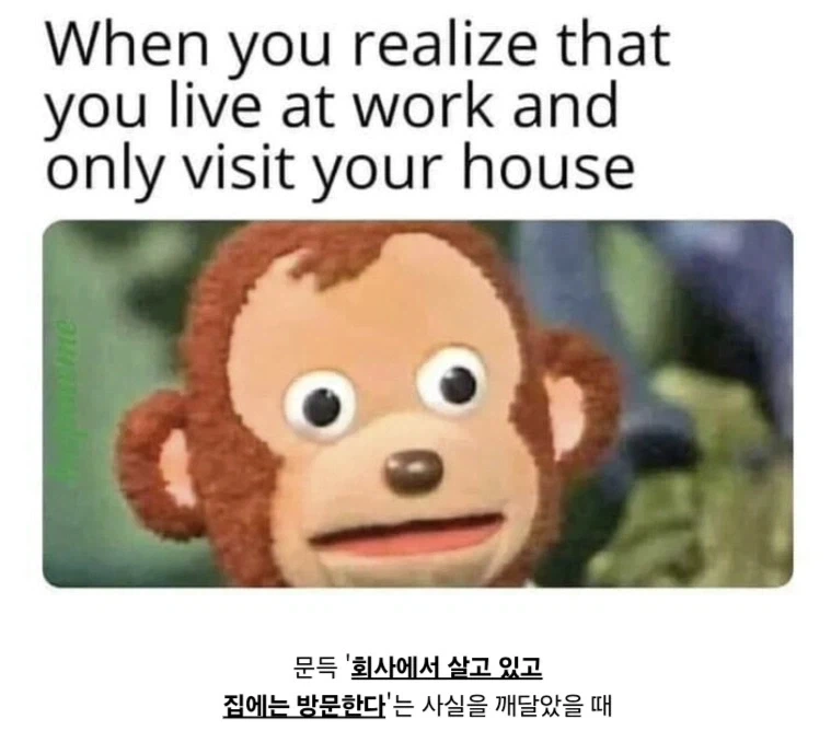 씨1발 생각해보니 그러네…?.jpg_1.webp