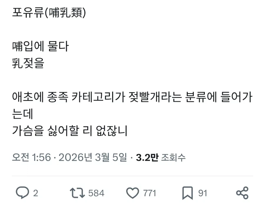 큰가슴을 좋아하는 이유_1.webp