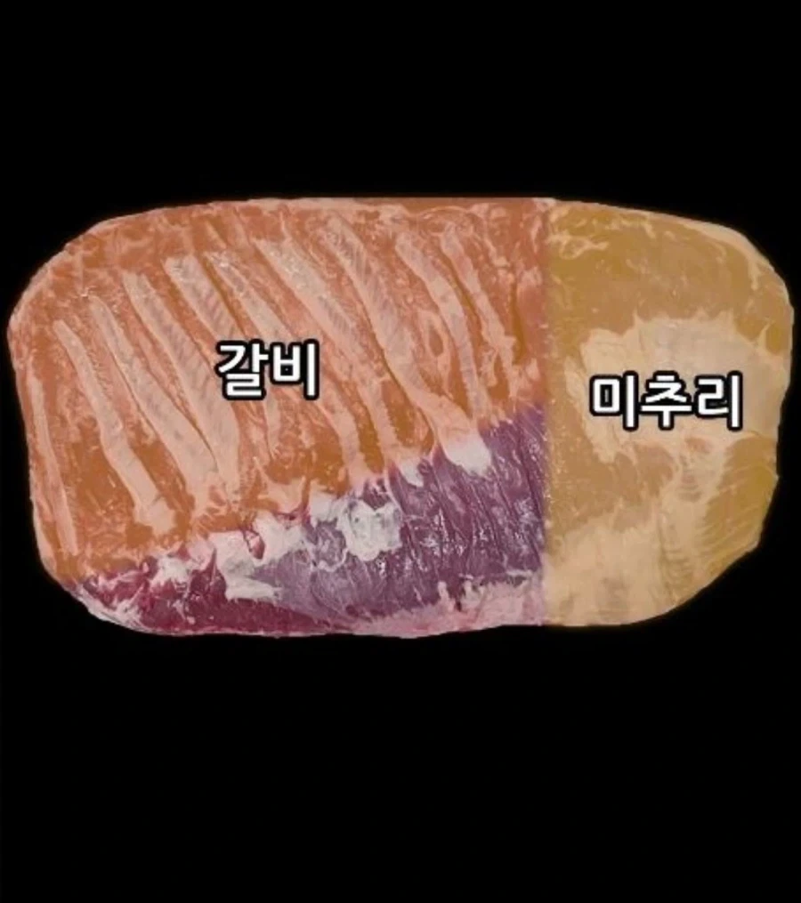 절대로 사면 안된다는 삼겹살 부위_1.webp