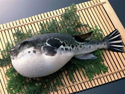 이러면 인간들이 안먹겠지?.jpg_2.jpeg