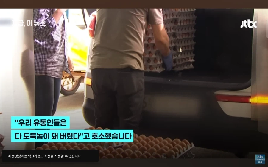 계란 싸게 파는 뉴스 보고 이해 못한 한국인들_1.webp