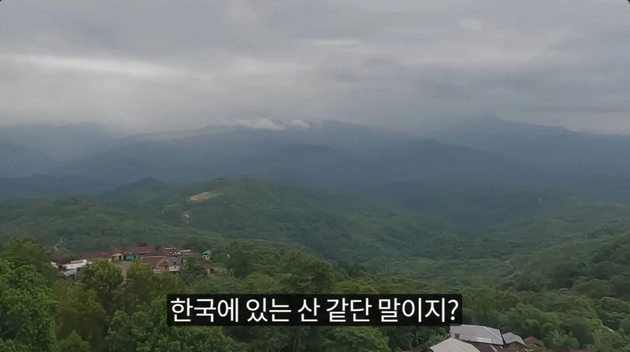 인도에도 있는 깨끗한 동네_37.webp