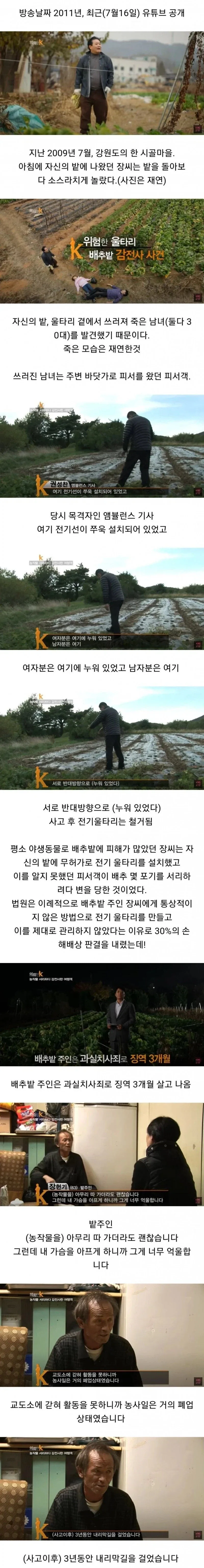 배추 서리 때문에 인생 망함_1.webp