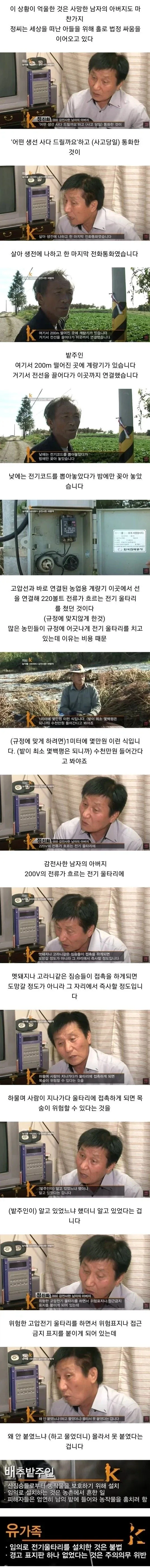 배추 서리 때문에 인생 망함_2.webp