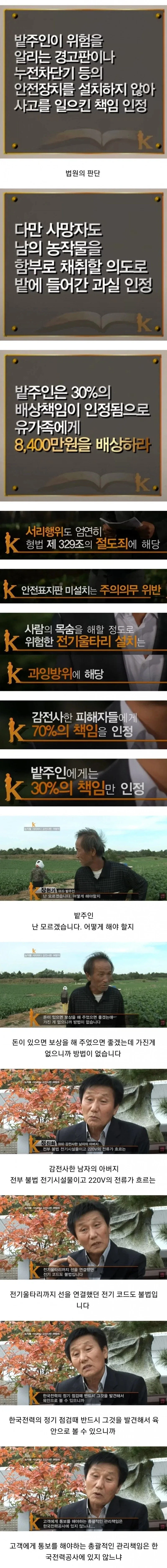 배추 서리 때문에 인생 망함_3.webp