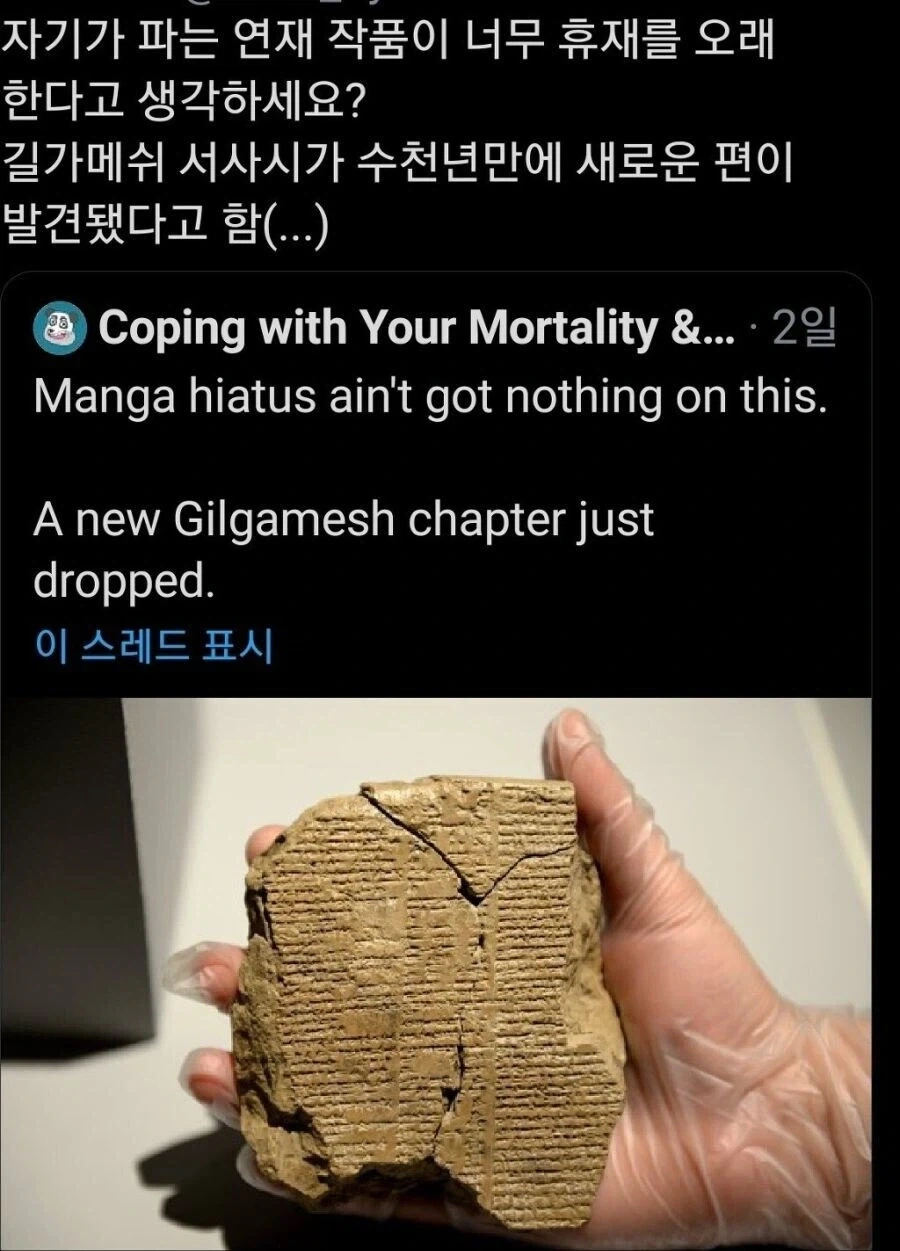 역사상 최장 휴재기간 경신.jpg_1.webp