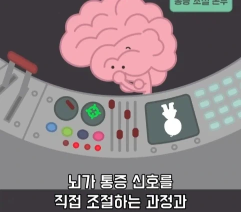 플라시보 효과는 단순 기분탓이 아니라는 연구.jpg_14.webp