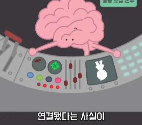 플라시보 효과는 단순 기분탓이 아니라는 연구.jpg_15.webp