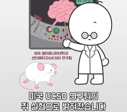 플라시보 효과는 단순 기분탓이 아니라는 연구.jpg_16.webp