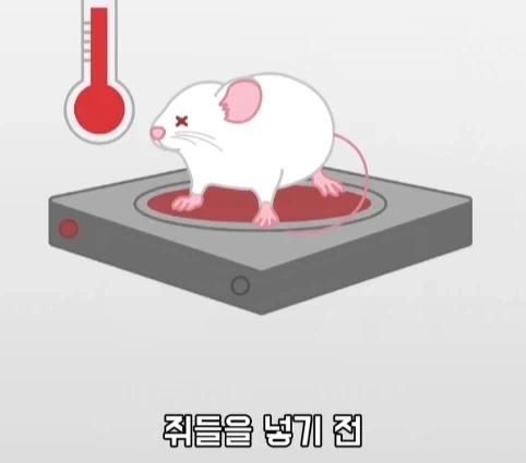 플라시보 효과는 단순 기분탓이 아니라는 연구.jpg_19.webp