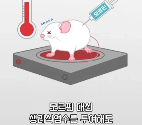 플라시보 효과는 단순 기분탓이 아니라는 연구.jpg_21.webp