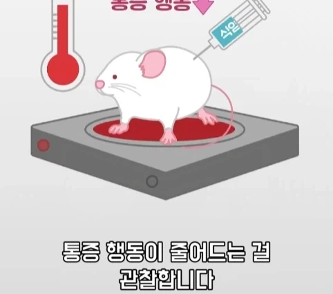 플라시보 효과는 단순 기분탓이 아니라는 연구.jpg_22.webp