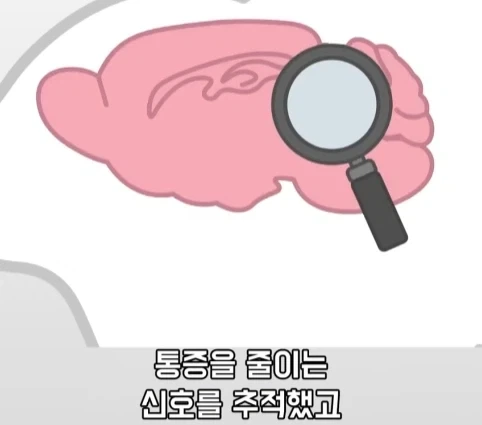 플라시보 효과는 단순 기분탓이 아니라는 연구.jpg_24.webp
