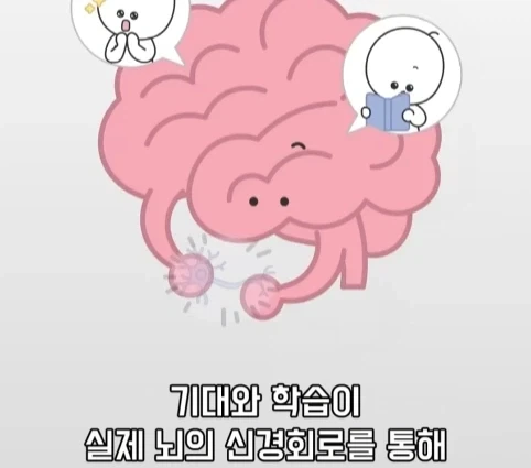 플라시보 효과는 단순 기분탓이 아니라는 연구.jpg_35.webp