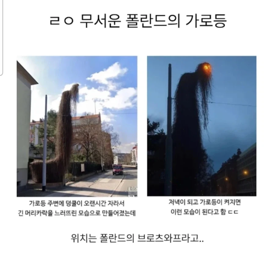 은근 관광 명소 될법했던 공무원의 늦장 일처리_1.webp