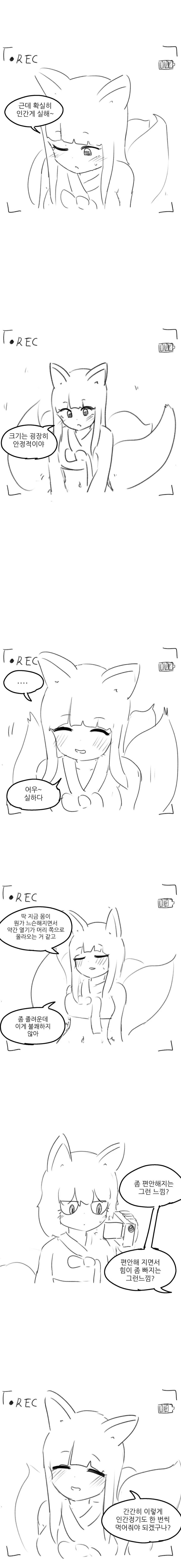manga_2976075_006.webp