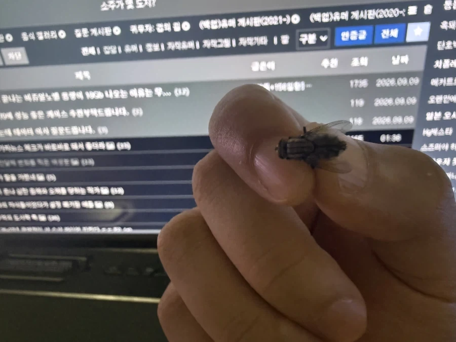 오오 방바닥에서 수명 다해서 뒤진 파리 발견_1.webp