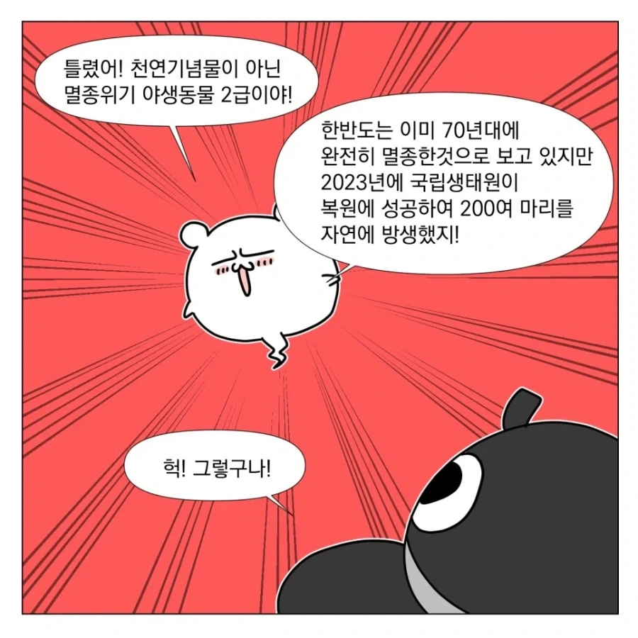 나의 이름은!!_9.webp