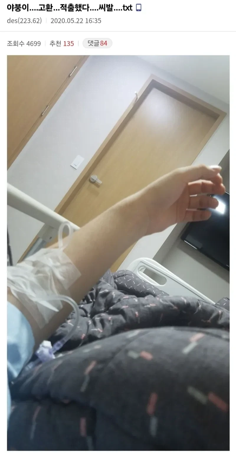 고환 적출한 디시인._1.webp