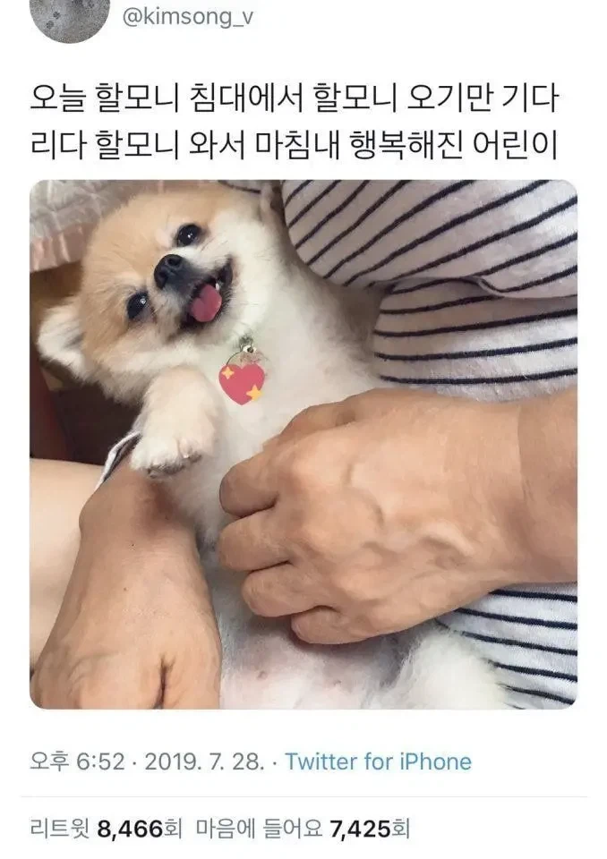 할모니 침대에서 할모니 오기만 기다리다 할모니 와서 마침내 행복해진 어린이.jpg_1.webp