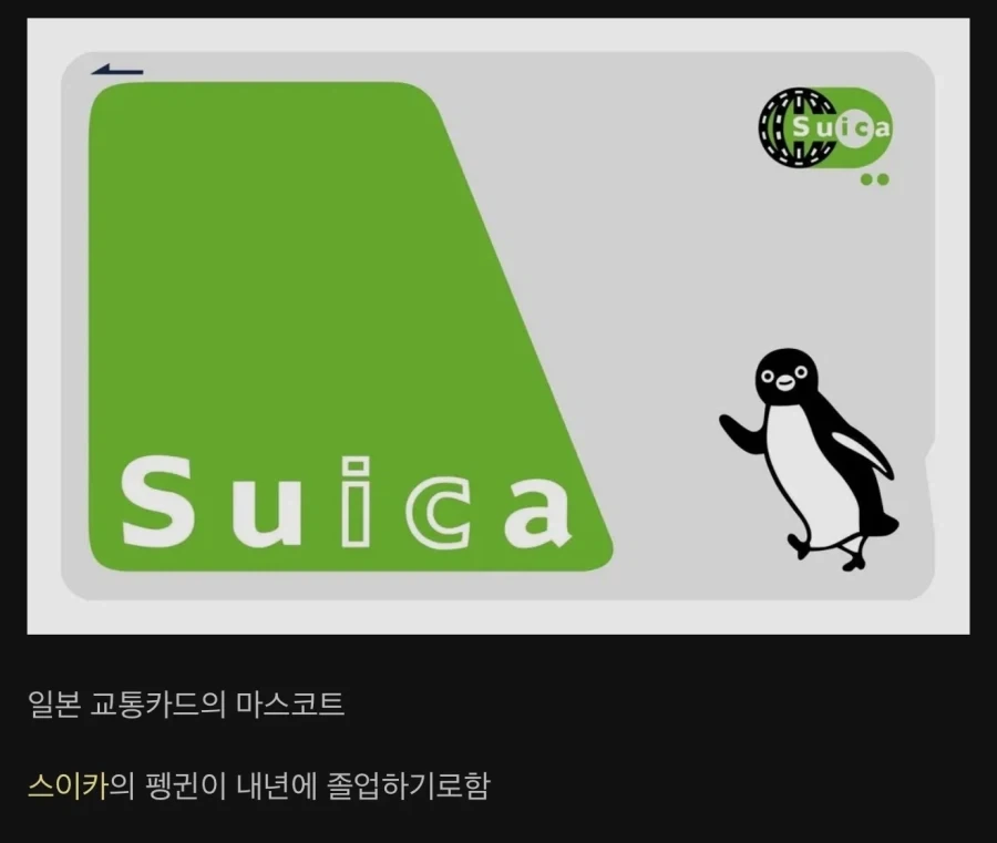 일본에서 난리난 스이카 디자인_1.webp