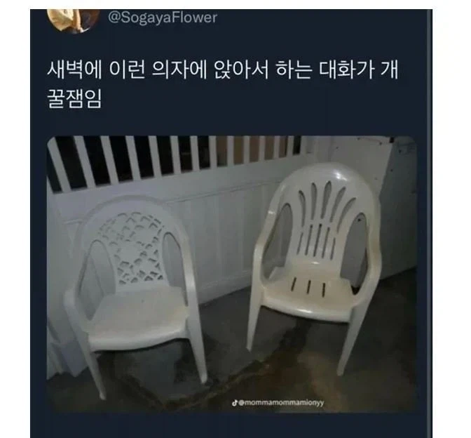 진실을 말하게 되는 의자_1.webp