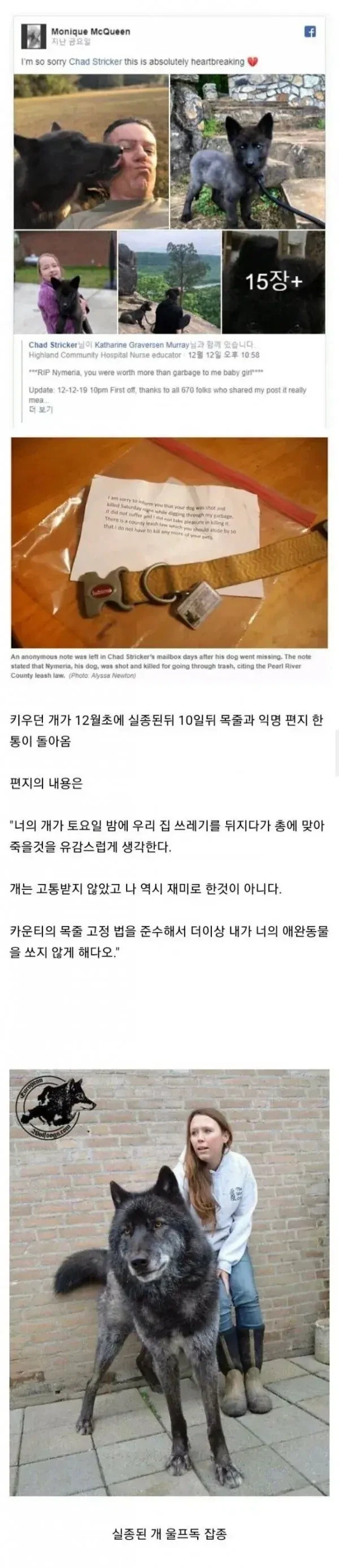 키우던 개가 실종 10일만에 목줄과 함께 익명의 편지만 돌아옴_1.webp