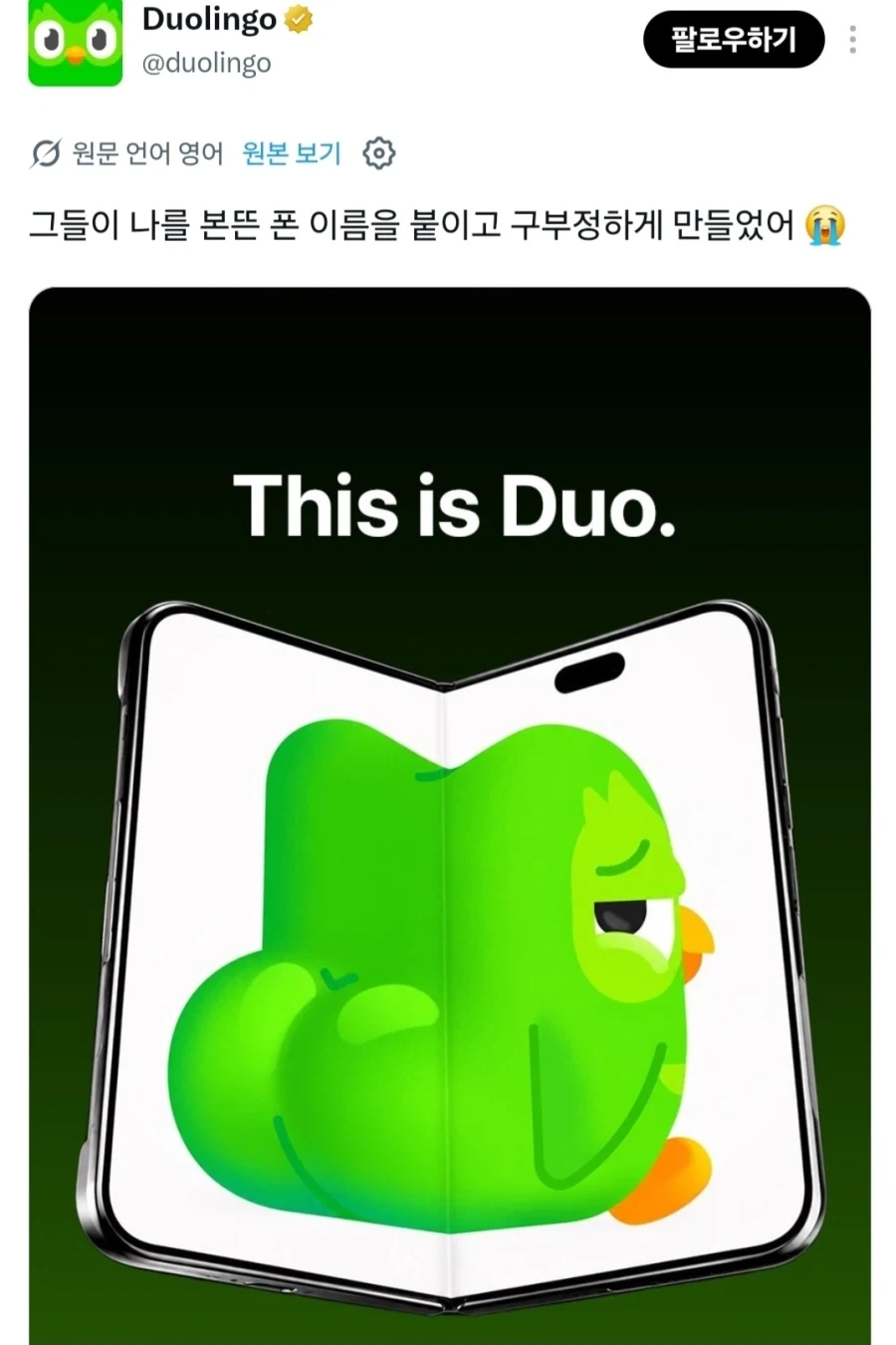 솔직히 이건 듀오가 압승이지_1.webp