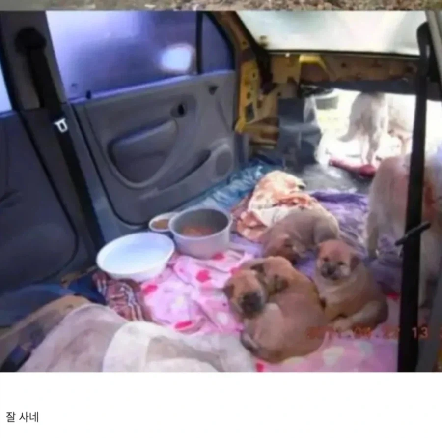 다 부셔지는 마티즈에 생활하는 가족_3.webp