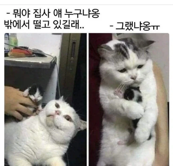 뭐야 얘 누구냐_1.webp