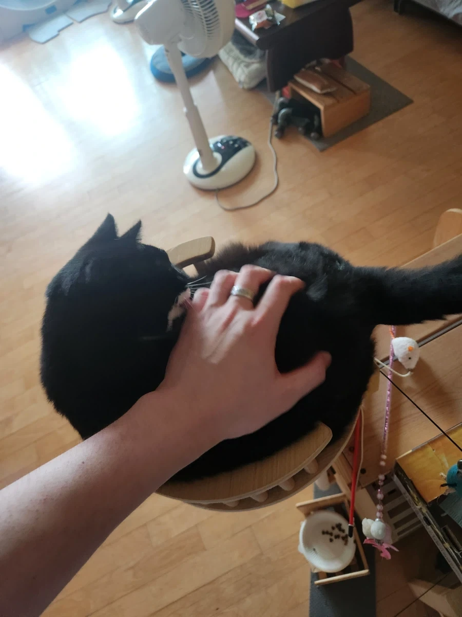 건방진 어린놈이 다시 왔습니다._7.webp