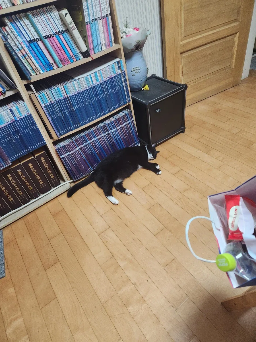건방진 어린놈이 다시 왔습니다._8.webp