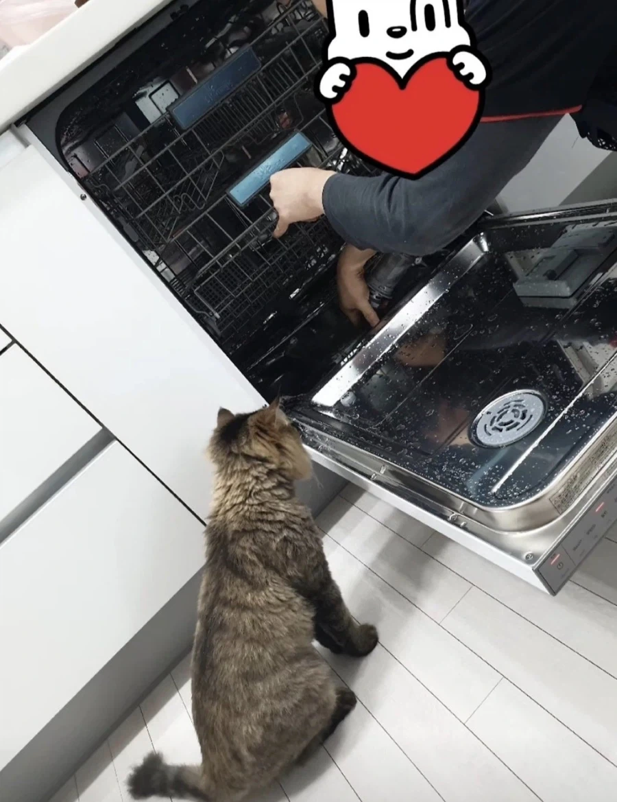 일하는 걸 감독하던 고양이_3.webp