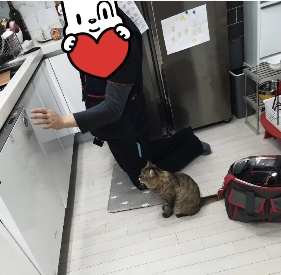 일하는 걸 감독하던 고양이_4.webp