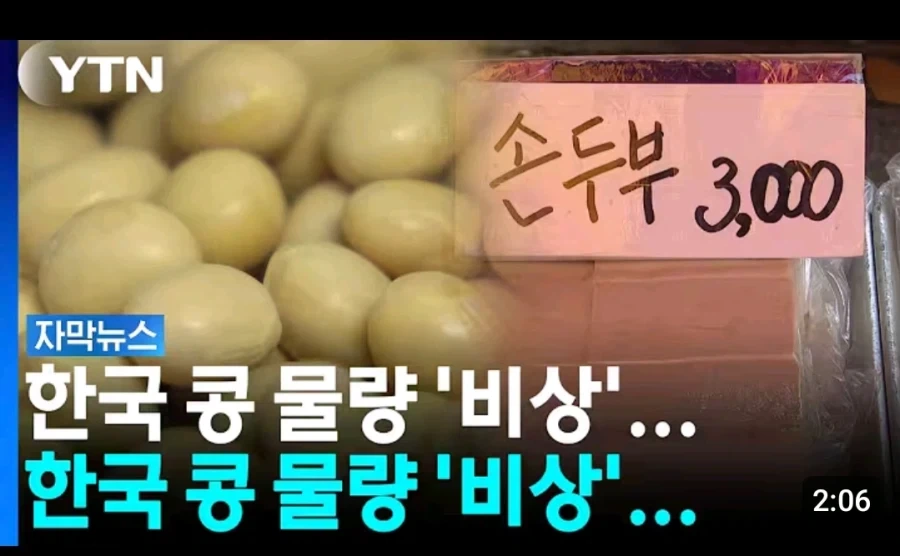 콩 물량 비상._1.webp