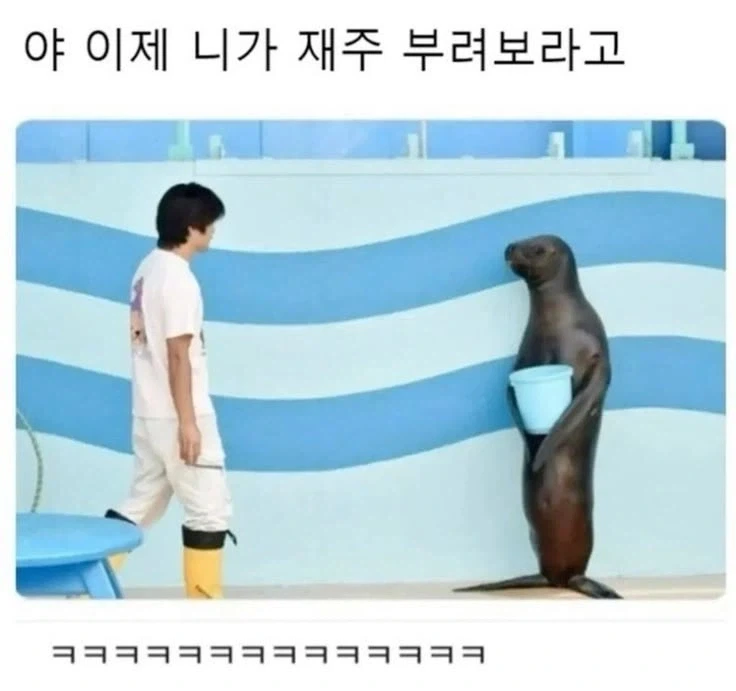 야 이제 니가 재주 부려보라고_1.webp