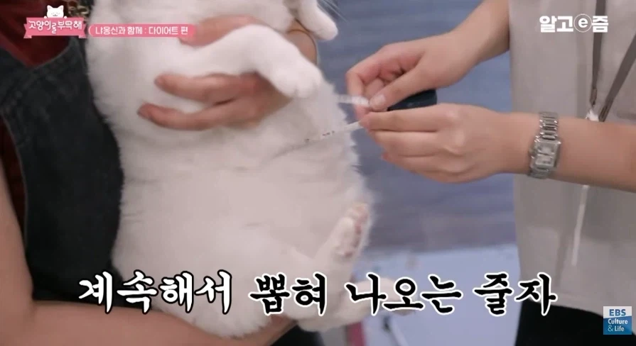 허리둘레 23인치에서 나오는 폭력적인 바디라인_1.webp
