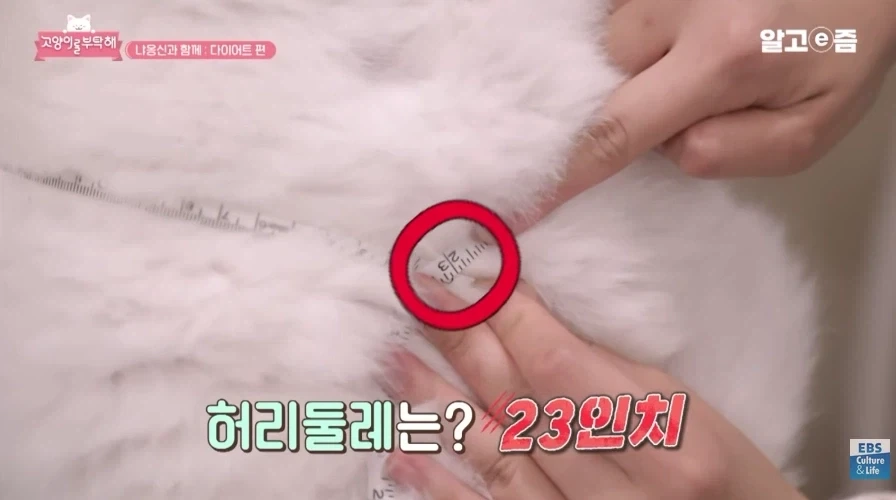 허리둘레 23인치에서 나오는 폭력적인 바디라인_2.webp